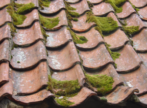 damage roof