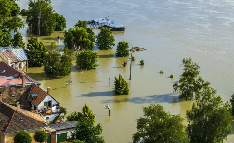 Tips to Do after a Flood for Your Home