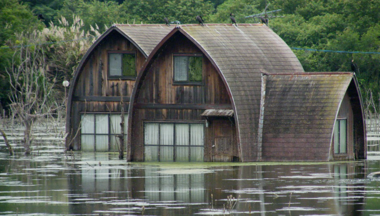 Tips to Do after a Flood for Your Home