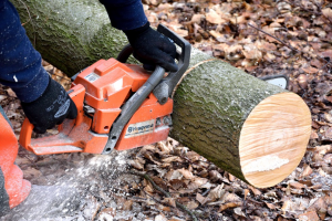 wood cutting