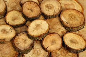 wood cutting