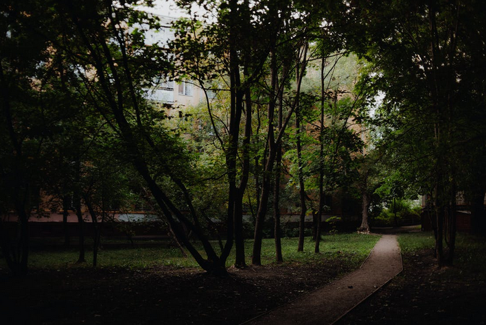 pathway